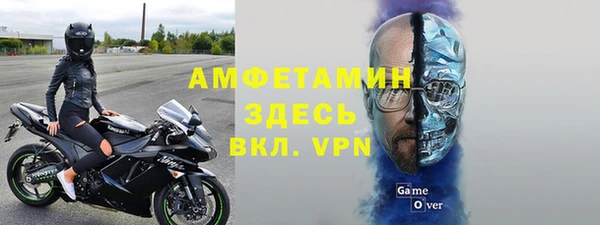 стаф Аркадак