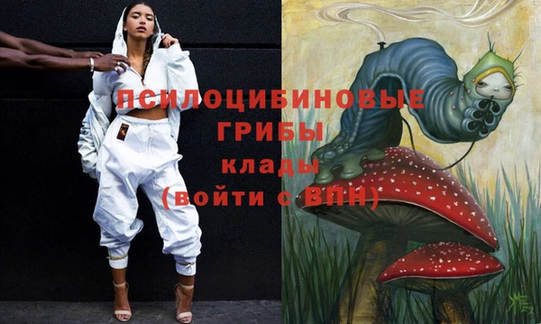 соль ск Арсеньев