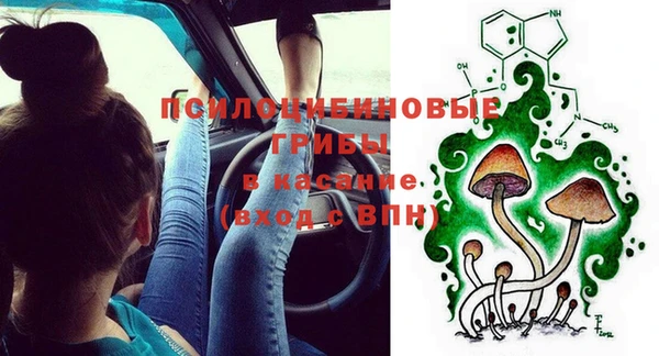 шишки Бронницы