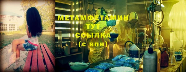 стаф Аркадак