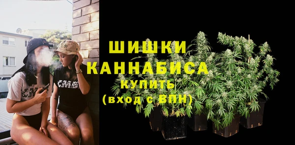 стаф Аркадак