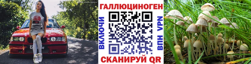 Галлюциногенные грибы мицелий OMG сайт Михайловск где купить наркоту