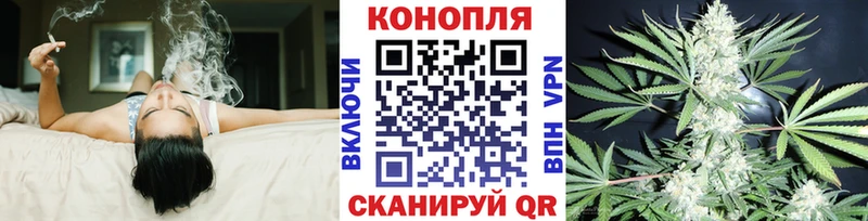 где купить наркоту  Михайловск  Шишки марихуана White Widow 